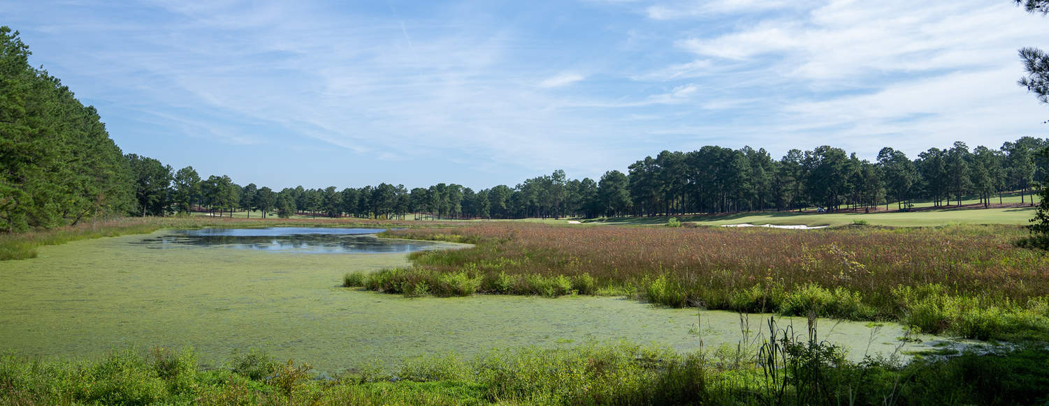 Pinehurst Course No. 8